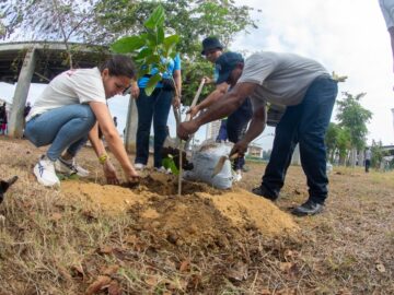 Surtigas dona 50 arboles plantados en el Patio Portal de