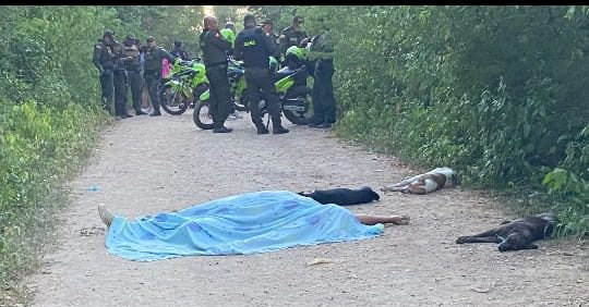 Asesinos que quitaron la vida al lider social Willy Perez