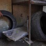 Combate al dengue en Cartagena Acciones realizadas en el primer