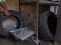 Combate al dengue en Cartagena Acciones realizadas en el primer