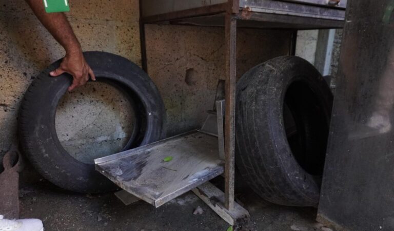 Combate al dengue en Cartagena: Acciones realizadas en el primer semestre de 2025 Combate al dengue en Cartagena: Acciones realizadas en el primer semestre de 2025