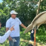 Ecopetrol convierte 80 toneladas de escombros en 19 muebles urbanos