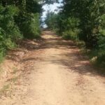 El Programa Caminos de Paz Arriba a San Basilio de