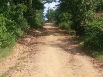 El Programa Caminos de Paz Arriba a San Basilio de