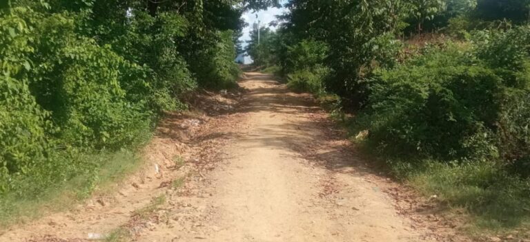 El Programa Caminos de Paz Arriba a San Basilio de