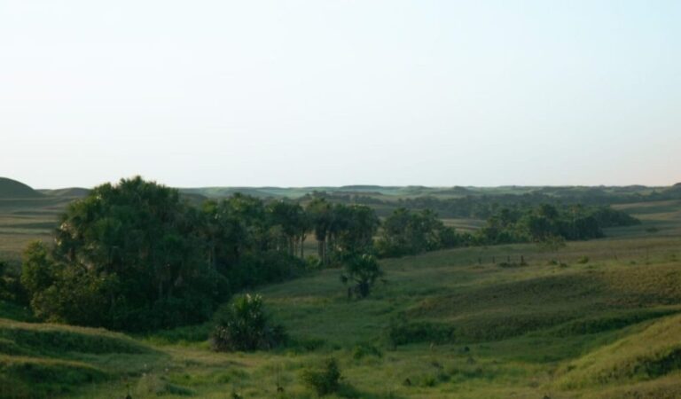 Agencia de Tierras lleva a cabo una rueda de negocios en María La Baja y Magangué, Bolívar Agencia de Tierras lleva a cabo una rueda de negocios en María La Baja y Magangué, Bolívar