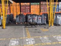 Direccion Antinarcoticos consigue incautar 743 kilos de cocaina en Cartagena