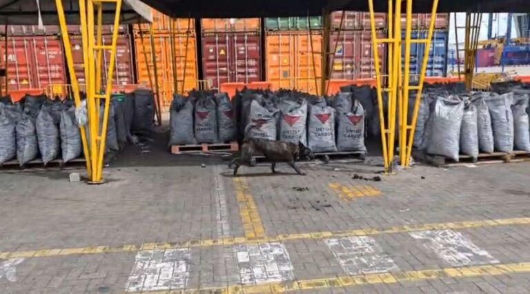 Direccion Antinarcoticos consigue incautar 743 kilos de cocaina en Cartagena