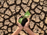 El ritmo del calentamiento global continua intensificandose