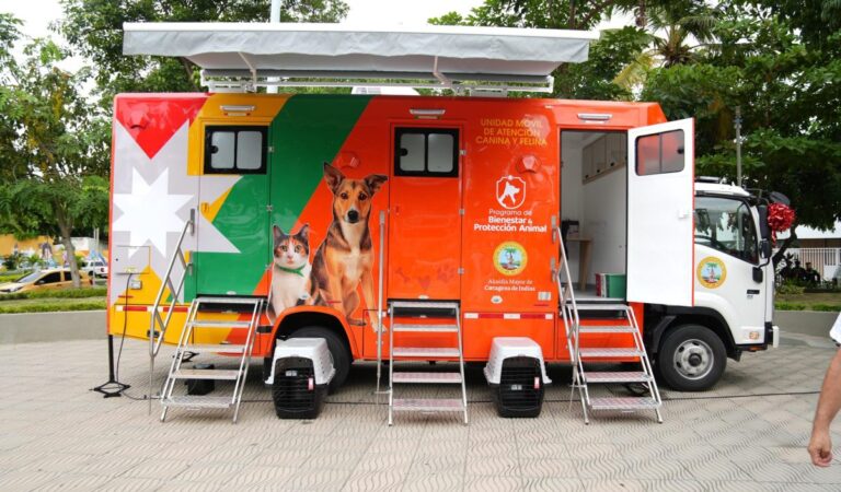 Operación Unidad Móvil Veterinaria para la protección de animales sin hogar en Cartagena Operación Unidad Móvil Veterinaria para la protección de animales sin hogar en Cartagena