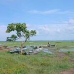 Se anuncian demandas para la restitucion de tierras en comunidades