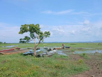 Se anuncian demandas para la restitucion de tierras en comunidades