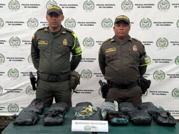 Confiscan 12 kilos de marihuana creepy proveniente de Cali con