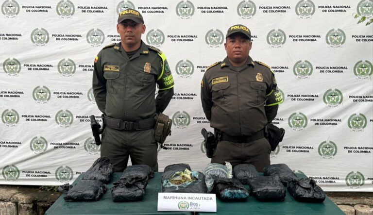 Confiscan 12 kilos de marihuana creepy proveniente de Cali con