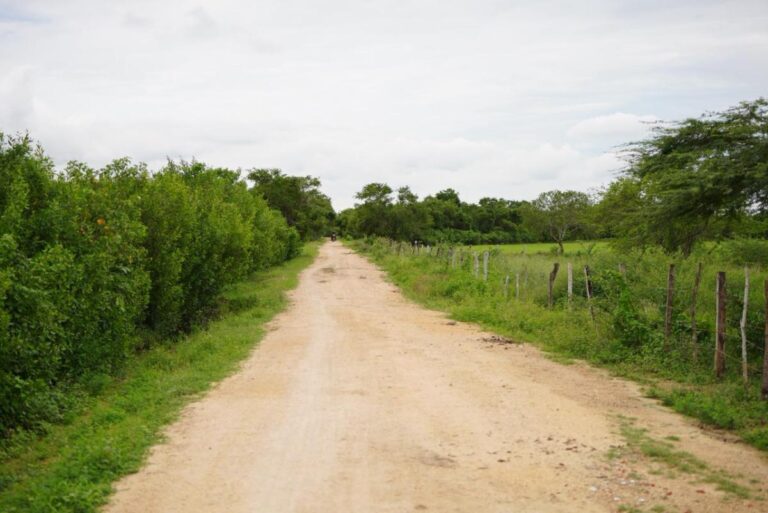 El Alcalde Turbay presenta un megaproyecto vial para la ciudad