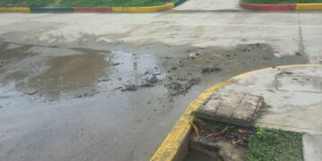 Problemas sanitarios para los estudiantes de la IE Clemente Manuel