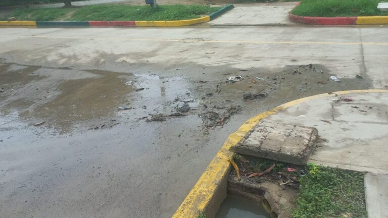 Problemas sanitarios para los estudiantes de la IE Clemente Manuel