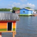 Reconocimiento a las Comunidades Palafiticas de la Cienaga Grande en