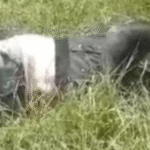 Tragedia en Colorado corregimiento de Santa Catalina tres fallecidos