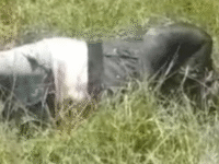 Tragedia en Colorado corregimiento de Santa Catalina tres fallecidos