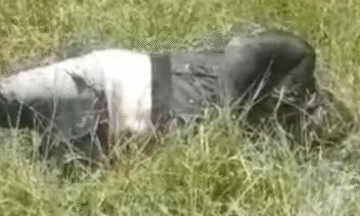 Tragedia en Colorado corregimiento de Santa Catalina tres fallecidos