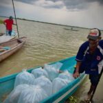 Dara comienzo el proyecto de repoblamiento de alevinos en cuerpos