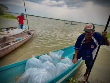 Dara comienzo el proyecto de repoblamiento de alevinos en cuerpos