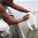 En Soplaviento y Calamar la gobernacion comenzo el repoblamiento de