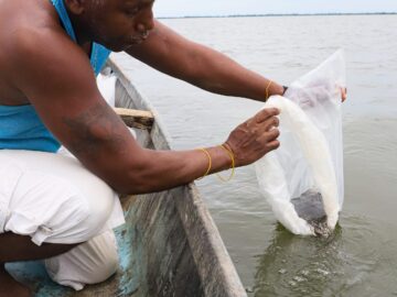 En Soplaviento y Calamar la gobernacion comenzo el repoblamiento de