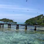 Solicitud de la Procuraduria a la Alcaldia de Cartagena para