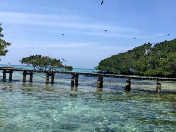 Solicitud de la Procuraduria a la Alcaldia de Cartagena para