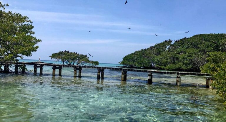 Solicitud de la Procuraduria a la Alcaldia de Cartagena para