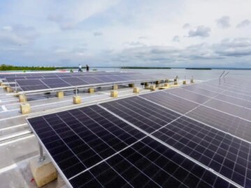 En el colegio publico de Cartagena se lleva a cabo