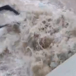 Finalizada la Parada Tecnica se rompio un tubo de 1000