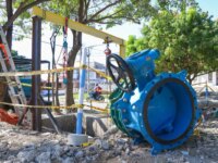 Las actividades programadas por Parada Tecnica de Aguas de Cartagena