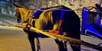 El distrito emite un decreto que prohibe la circulacion de