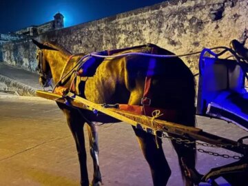 El distrito emite un decreto que prohibe la circulacion de