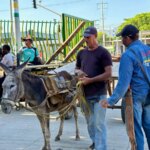 Fase final del Programa de Reemplazo de Vehiculos de Traccion