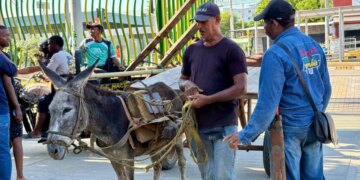 Fase final del Programa de Reemplazo de Vehiculos de Traccion