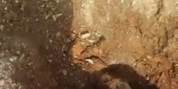 Identifican conexion irregular al sistema de agua potable en el