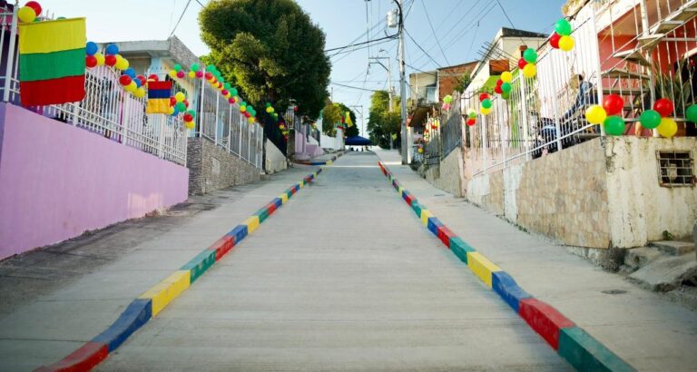 Pavimentacion en la Calle del Barrio San Pedro Martir de