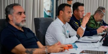 Plan de accion para enfrentar la criminalidad en el sur