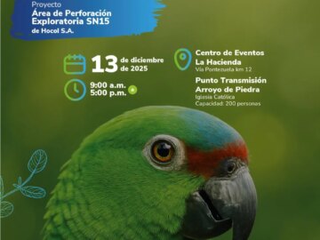 Reunion Informativa sobre la Audiencia Publica Ambiental del Proyecto Area