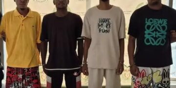 Se imputan delitos a miembros de la estructura criminal que