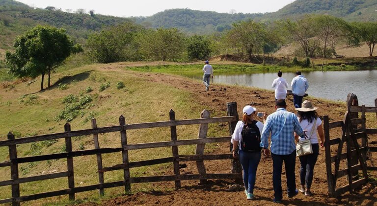 Se presenta una demanda para salvaguardar a las victimas del