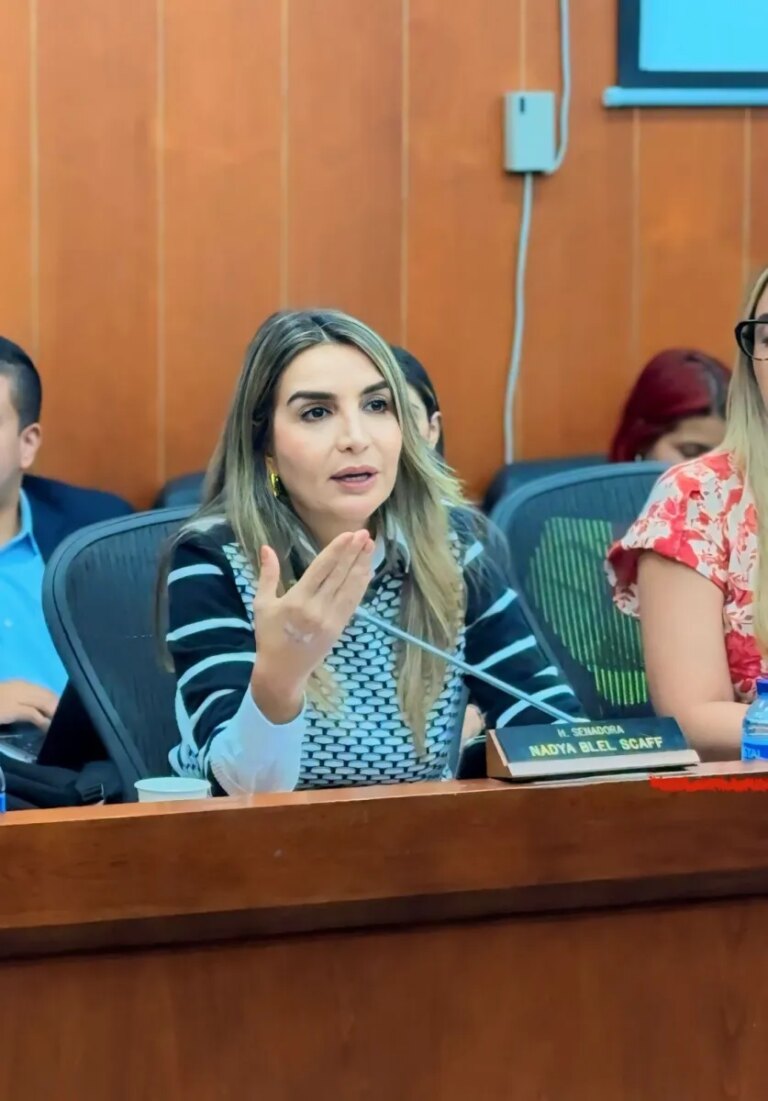 Senadora Nadia Blel dimite de la presidencia del partido Conservador