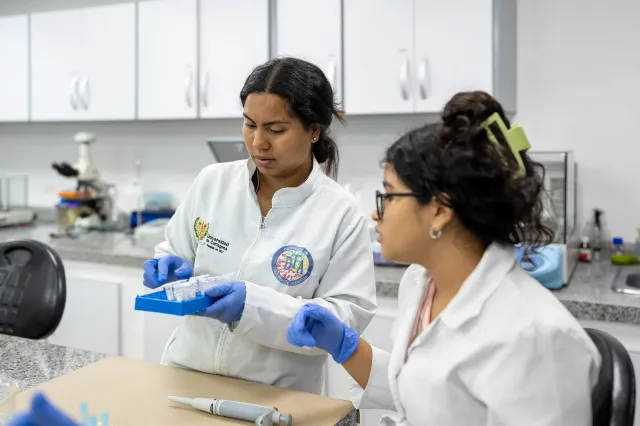 Universidad de Cartagena se posiciona en el top 10 a