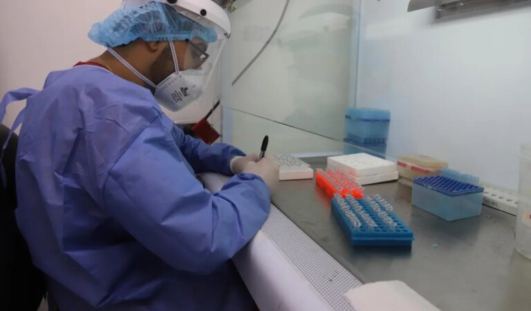 El sistema internacional de clasificación académica resalta a la Universidad de Cartagena