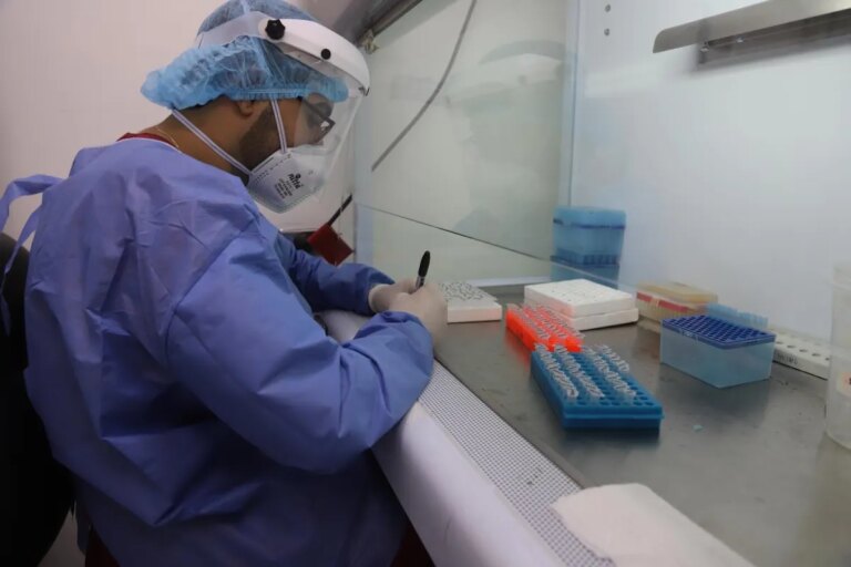 El sistema internacional de clasificacion academica resalta a la Universidad