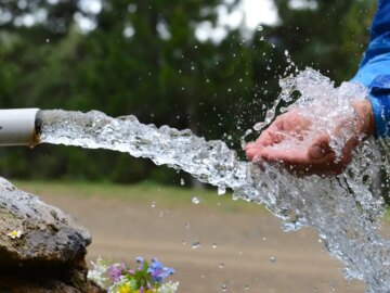 En febrero la comunidad de la Alta Montana en Carmen